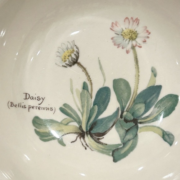 Noritake Country Diary of an Edwardian Lady Cereal Bowls, set of 2 - Picture 5 of 6